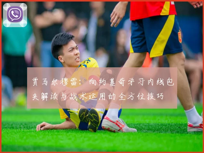 贾马尔穆雷：向约基奇学习内线包夹解读与战术运用的全方位技巧
